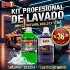 Shampoo para autos gl + Silicona para Llantas gl